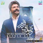 Vay Dele Bighararam