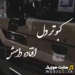 دانلود آهنگ کبوتر دل افتاده دامش ریمیکس اینستاگرام