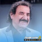 من میرم از زندگی تو بیرون