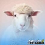 دانلود اهنگ ببعی تو بازیگوشی ریمیکس بیس دار ترند اینستاگرام