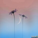 غریبه
