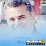 هر روز میگردم