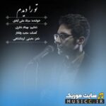 تو را دیدم