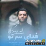 فدای سر تو