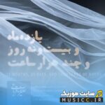 یازده ماه و بیست و نه روز