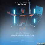 In The House Persian Mix 14