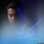 ملک ری