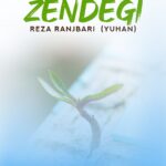 زندگی