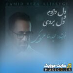دل دادم و دل بردی