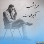 مرغ شب