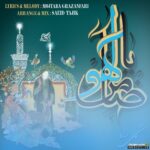 ضامن آهو