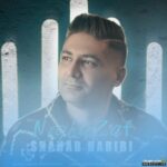 نقطه ضعف