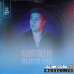 دگر چه خواهی