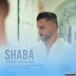 شبا