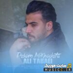 دلم میخوادتا