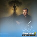 ریشه در خاک