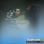 دل بی آرزو