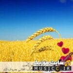 دانلود آهنگ های افغانی معروف اینستاگرام ۱۴۰۵ | شاد و غمگین با بهترین کیفیت MP3