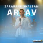 ضربان قلبم