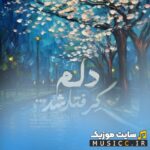 دلم گرفتار شد