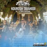 به تو دل دادیم
