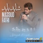 شاید باید