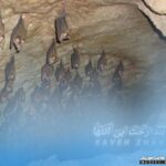 بند رخت بی انتها (بیکلام)