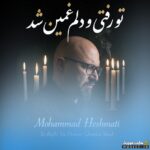 تو رفتی و دلم غمین شد