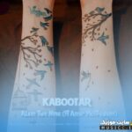 کبوتر