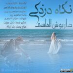 نگاه دزدکی