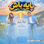 پایه باش