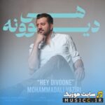 هی دیوونه